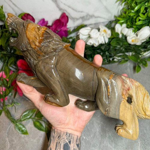 Polychrome Jasper Wolf