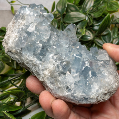 Celestite #16