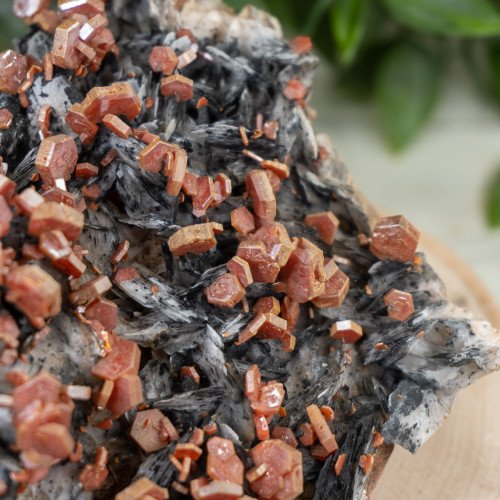 Large Vanadinite over Black Barite