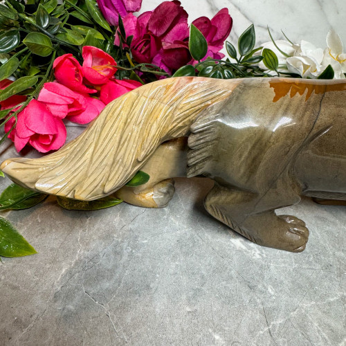 Polychrome Jasper Wolf