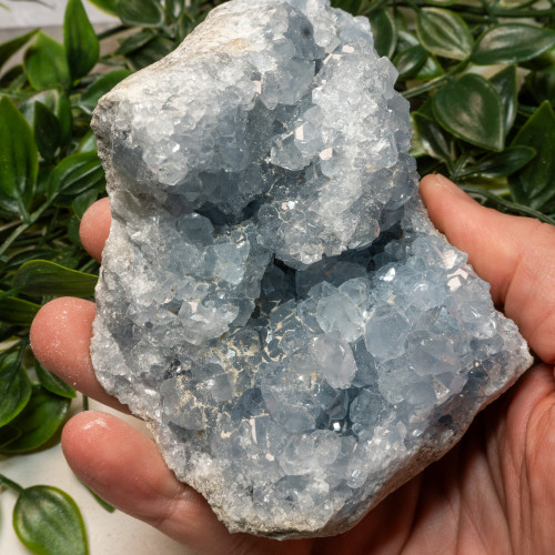 Celestite #15