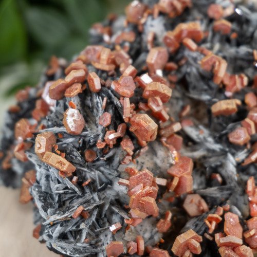 Large Vanadinite over Black Barite