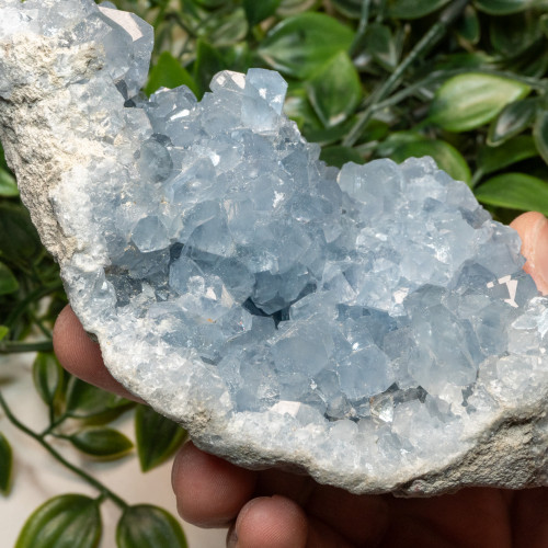 Celestite #13