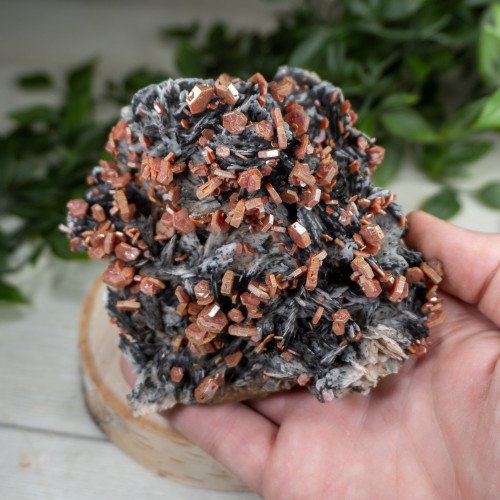 Large Vanadinite over Black Barite