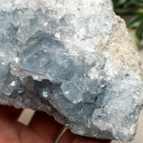 Celestite #12