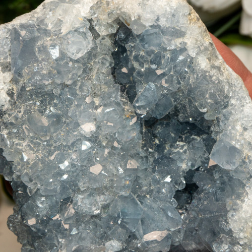 Celestite #11