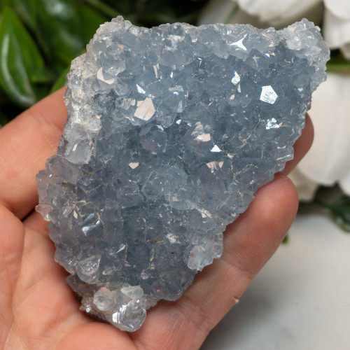 Celestite #8