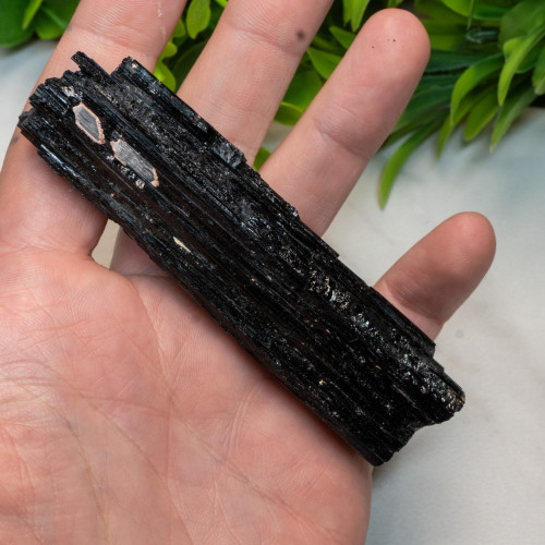 Black Tourmaline Log #2