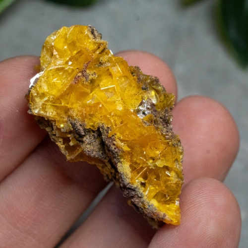 Wulfenite #5