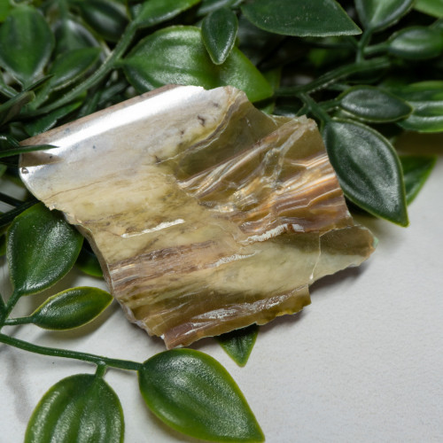 Arizona Pietersite #10