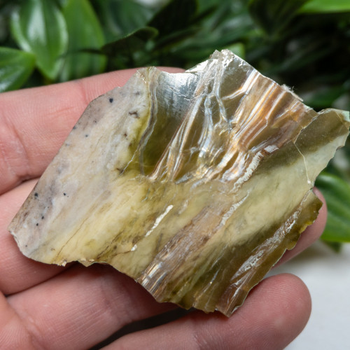 Arizona Pietersite #10