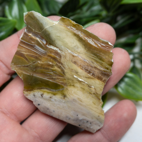 Arizona Pietersite #10