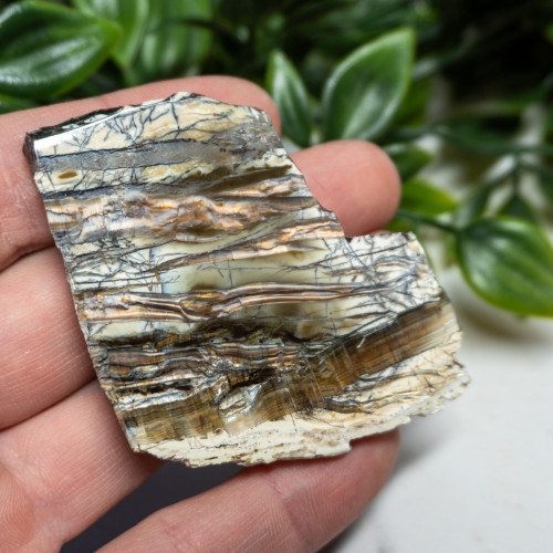 Arizona Pietersite #9