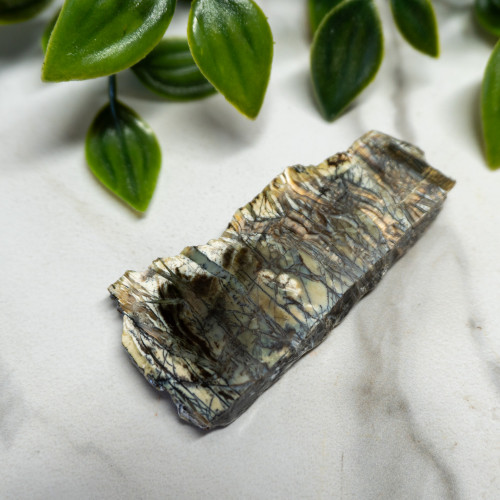 Arizona Pietersite #8