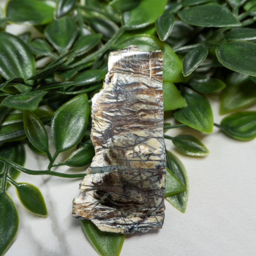 Arizona Pietersite #8