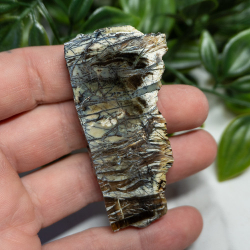 Arizona Pietersite #8