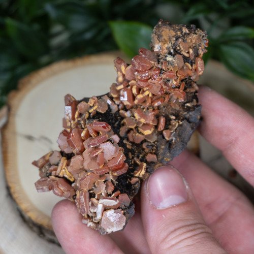 Large Vanadinite over Hematite on Matrix #4