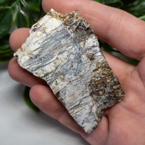 Arizona Pietersite #7