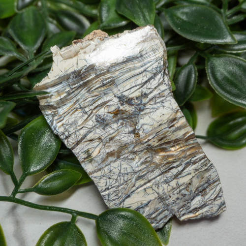 Arizona Pietersite #7