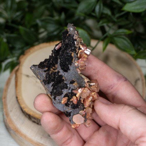 Large Vanadinite over Hematite on Matrix #4