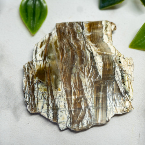 Arizona Pietersite #3