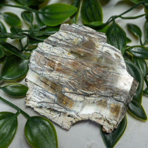 Arizona Pietersite #3