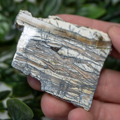 Arizona Pietersite #2