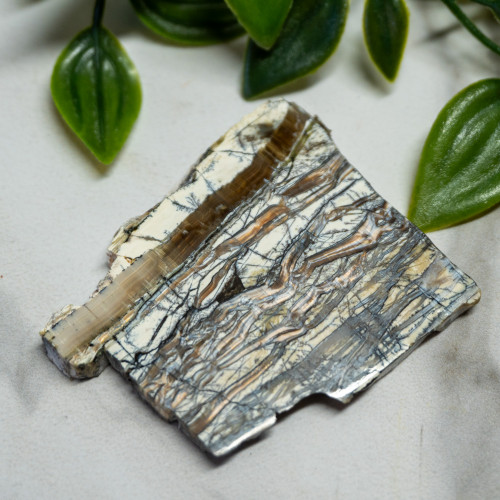 Arizona Pietersite #2