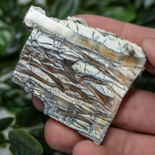 Arizona Pietersite #2