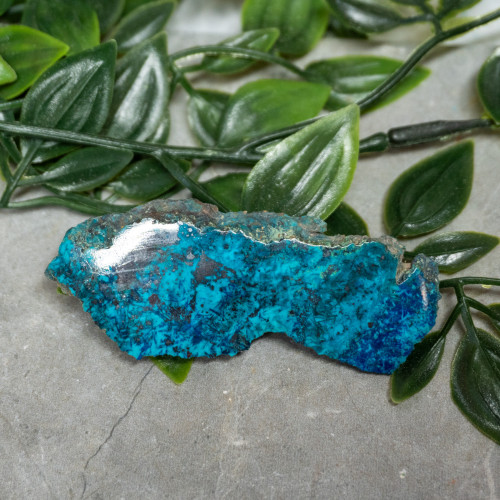 Chrysocolla, Shattuckite, and Tenorite Slab #10