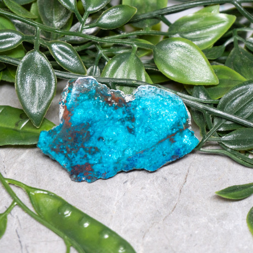 Chrysocolla, Shattuckite, and Tenorite Slab #7