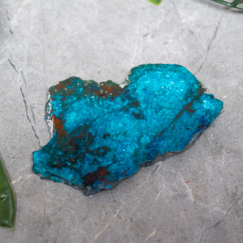 Chrysocolla, Shattuckite, and Tenorite Slab #7