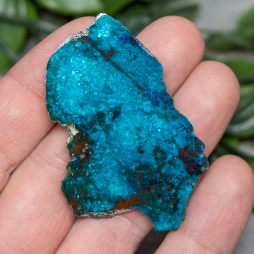 Chrysocolla, Shattuckite, and Tenorite Slab #7