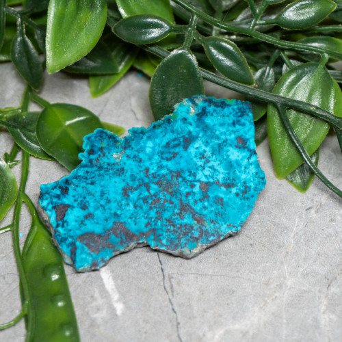 Chrysocolla, Shattuckite, and Tenorite Slab #6