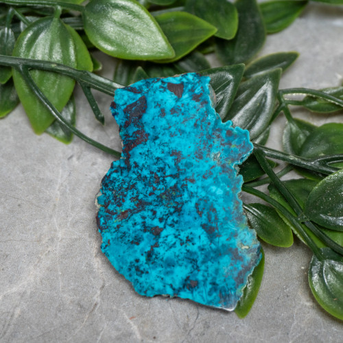 Chrysocolla, Shattuckite, and Tenorite Slab #6