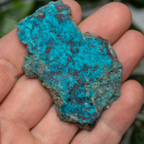 Chrysocolla, Shattuckite, and Tenorite Slab #6