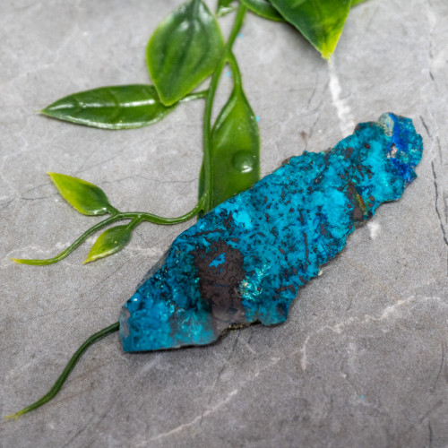 Chrysocolla, Shattuckite, and Tenorite Slab #5