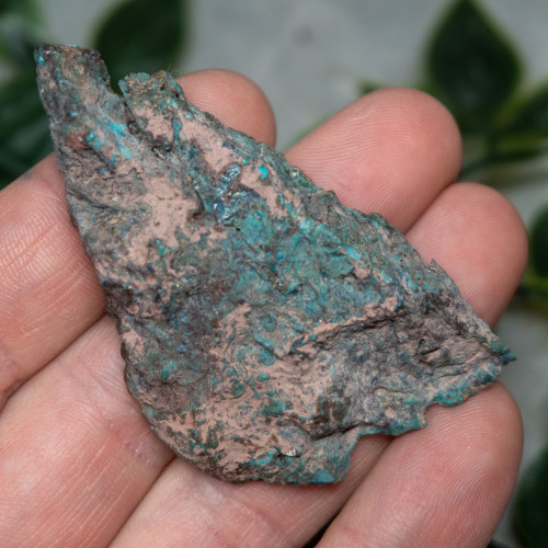 Chrysocolla, Shattuckite, and Tenorite Slab #4