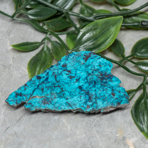 Chrysocolla, Shattuckite, and Tenorite Slab #4