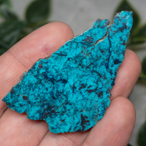 Chrysocolla, Shattuckite, and Tenorite Slab #4