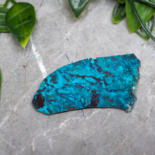 Chrysocolla, Shattuckite, and Tenorite Slab #3