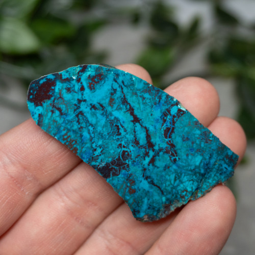 Chrysocolla, Shattuckite, and Tenorite Slab #3