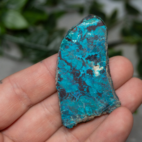 Chrysocolla, Shattuckite, and Tenorite Slab #3