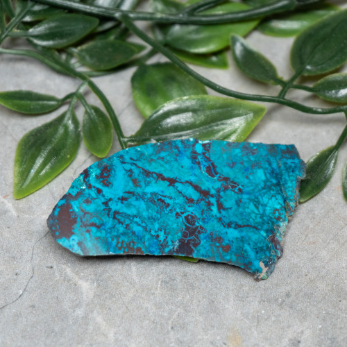 Chrysocolla, Shattuckite, and Tenorite Slab #3