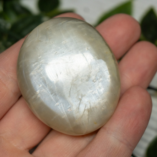 Black Moonstone Palm stone #2