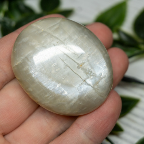 Black Moonstone Palm stone #2