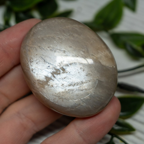 Black Moonstone Palm stone #1