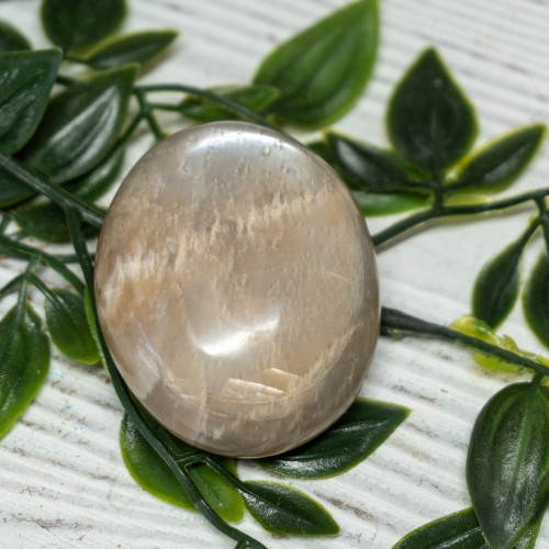 Black Moonstone Palm stone #1