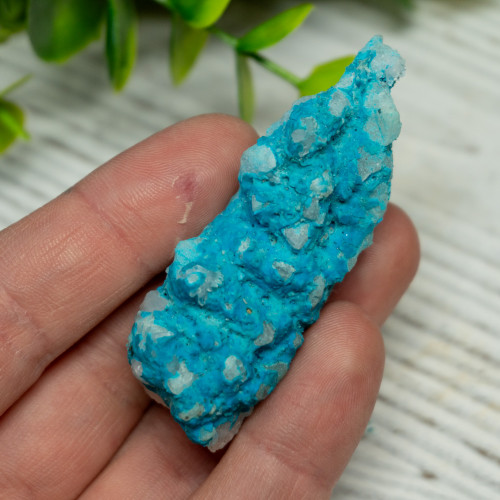 Small Turquoise on Quartz #4