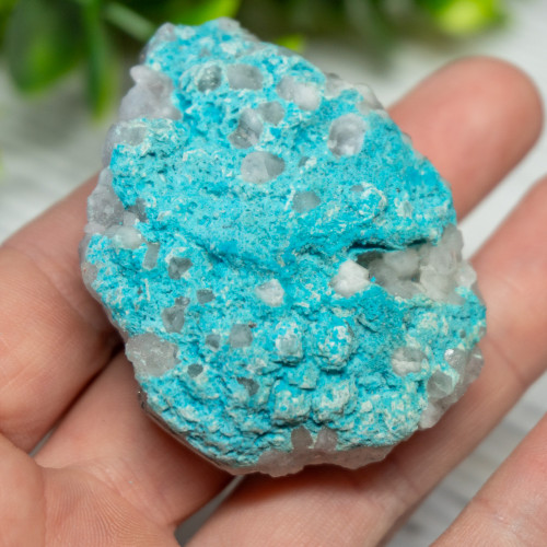Small Turquoise on Quartz #3